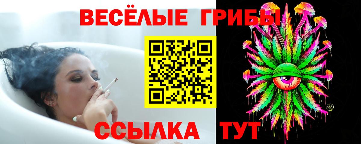 сколько стоит  Галлюциногенные грибы MAGIC MUSHROOMS  Вход с VPN  Строитель 